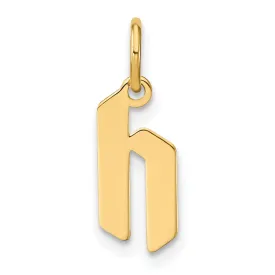 14K Yellow Gold Lower Case Letter H Initial Charm Pendant