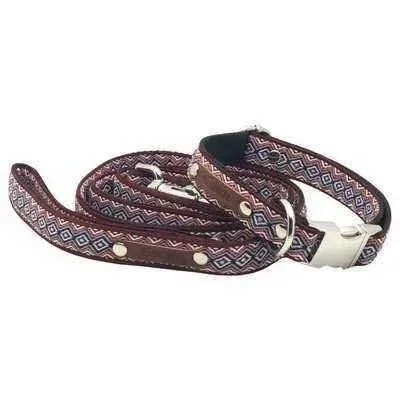 Finnigan’s Designer Dog Collar: Stylish & Durable 🐕